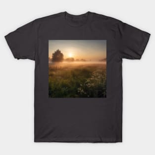 Sunrise over a green meadow fog rises in the summer T-Shirt